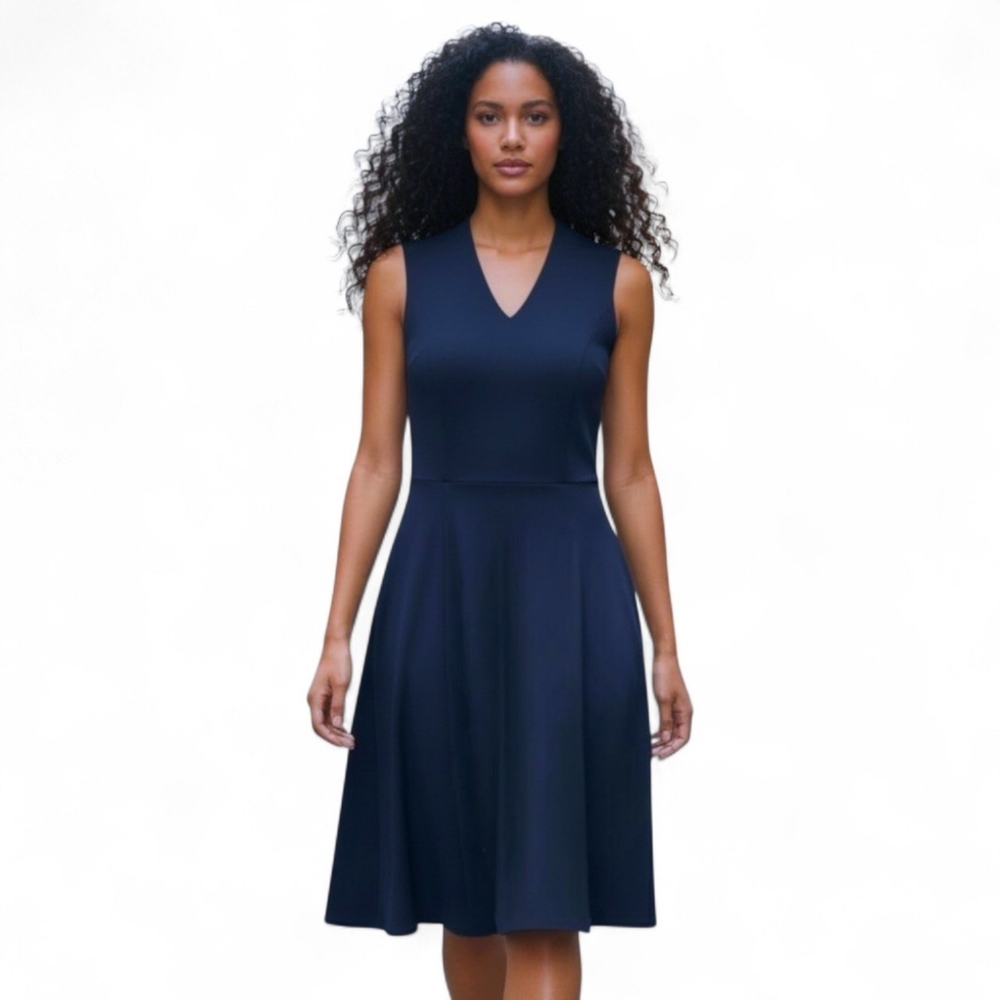 Broooks Brothers Navy Blue Fit & Flare Sleeveless Dress Womens Size 2